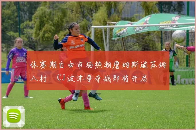 休赛期自由市场热潮詹姆斯道苏姆八村塁CJ波津争夺战即将开启