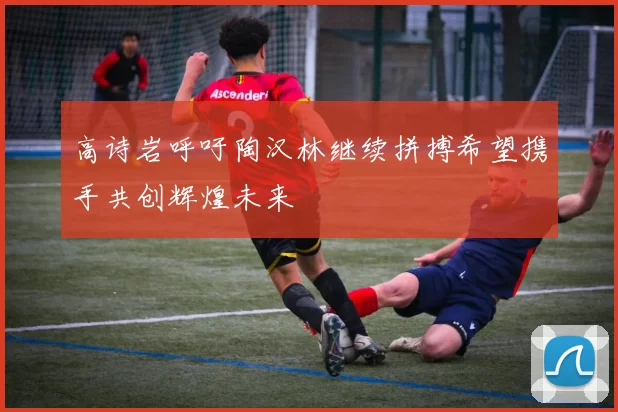 高诗岩呼吁陶汉林继续拼搏希望携手共创辉煌未来