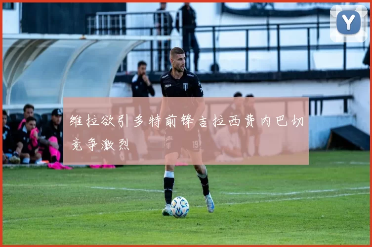 维拉欲引多特前锋吉拉西费内巴切竞争激烈